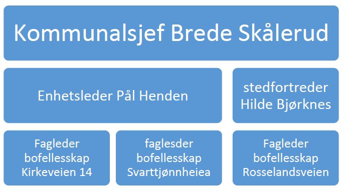 Habilitering organisering Songdalen kommune