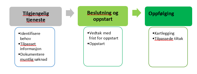 Strand kommunens styring og ledelse på området